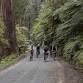 Great Forest Way 2025 event image