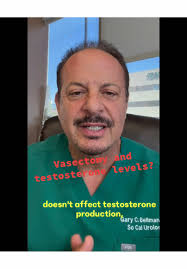 Vasectomy 24 Hours