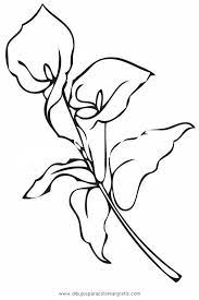 Hdblrmn08 Jpg 573 860 Paginas Para Colorear Dibujos Dibujos De Flores