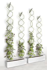 Going Up Take Your Garden Vertical With This Trellis Idea Giardino Verticale Supporto Per Rampicanti Giardino