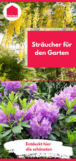 Straucher Fur Den Garten Tipps Fur Die Auswahl Das Haus In 2020 Straucher Garten Garten Winterhart