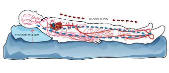 This can be caused by a variety of issues, including cavities, impacted wisdom teeth, tooth fractures, gum disease, abscessed here are a few ways to make your toothache less excruciating. How To Sleep With A Toothache Help You Rest Sleep