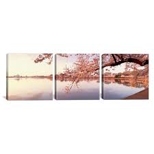 Icanvas Cherry Blossoms At The Lakeside Washington Dc Usa By Panoramic Images Canvas Wall Art Pim7663 3pc3 48 Panoramic Images Canvas Wall Art Canvas Artwork