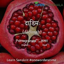 Flowers name in marathi with images Fruits Name In Sanskrit Learn Sanskrit Open Pathshala