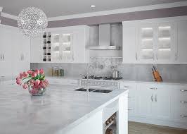 white shaker cabinets  the hottest