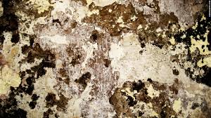 Dirty Wallpapers Top Collections Of Pictures Images Wallpaper 3036063 Hd Wallpaper Backgrounds Download Nature will always be a part of our lives. hd wallpaper backgrounds download