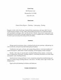 Executive Resume For Handyman Construction Self Employed Resume ...