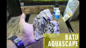 Tips bagi kamu yang masih pemula, sebaiknya pilihlah tanaman yang mudah dirawat terlebih dahulu. Jenis Jenis Batu Aquascape Youtube