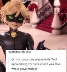 Chatnoir And His Puns Marinette Adrienagreste Miraculousladybug Ladybug And Chat Noir Lady Noir Miraculous Ladybug