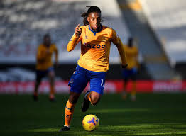 Everything you need to know about the premier league match between fulham and everton (22 november 2020): Lacazette Hails Iwobi For Impressive Display In Everton S Win Vs Fulham Complete Sports