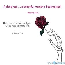 It's a sweet, tender way to share your emotions without these quotes about love come straight from the master of love himself—you guessed it—william shakespeare! A Dead Rose Is Beaut Quotes Writings By Tahaseen Majeed Yourquote