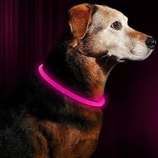 Top 10 Best Led Dog Collars All Top Ten Reviews Led Dog Collar Dog Leads Led Collar