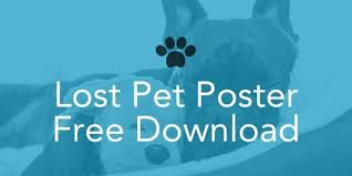 They take them to animal shelters (which are sometimes distant and have restricted operating hours) and to rescue organizations. How To Find A Lost Dog Resources Posters