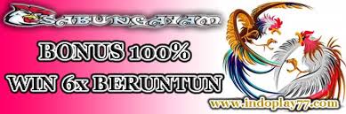 The Hidden Truth Regarding Link Alternatif Agen Qq Exposed by an Expert 