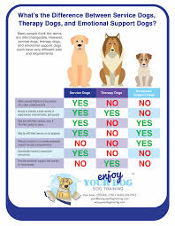 Therapy Dog Enjoy Your Dog In 2020 Emotional Support Dog Therapy Dogs Therapy Dogs International