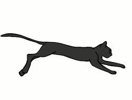 pin na doske koty voiteli