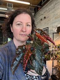 Experiences with Angel Wing Begonia Plants