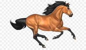 Decorate your laptops, water bottles, notebooks and windows. Mustang Wildleder Mustang Pferd Png Bild Png Herunterladen 700 503 Kostenlos Transparent Grosse Png Herunterladen