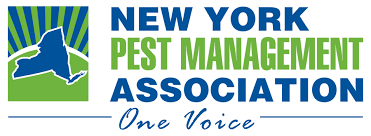 Get directions, reviews and information for aaabon pest control in hebron, ct. Termite Rodent Spider Pest Control Services Manhattan Ny