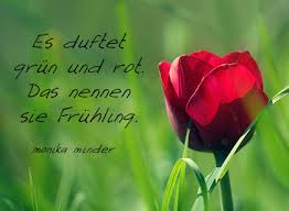 Bilderspruche Blumenbilder Mit Zitaten Und Kurzen Weisheiten