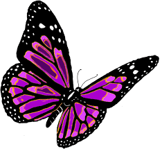 5 out of 5 stars (4,429) 4,429 reviews $ 3.00. Flying Butterfly Png Image