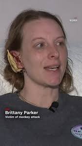 OMG🙈🙉🙊🙈🙉🙊#Oklahoma #monkey 🙊