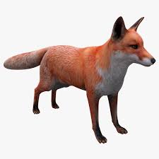Red Fox 3d Model Ad Red Fox Model Animals Red Fox Fox