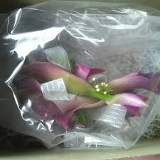 Check spelling or type a new query. Apple Creek Flowers 9 Visitors