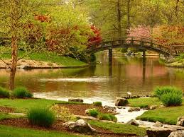 Serenity St Louis Botanical Garden Botanical Gardens Japanese Garden