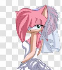 Dogs cry for several reasons that include anxiety and hunger. Amy Rose Cream The Rabbit Sonic Hedgehog Shadow Tails Rouge Transparent Png