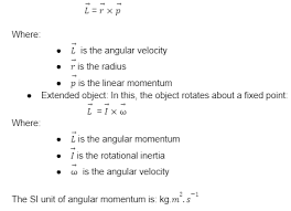Notes on What Is Angular Momentum