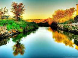 Convenient green download buttons allow you to upload images without any additional interference. 3d Wallpapers Of Nature 12 High Resolution Wallpapers Desktop Background