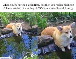 Owned by an american from phoenix who has lived and been in the mazatlan restaurant business for years the food is excellent. How Becoming A Meme Gave Shannon Noll An Unlikely Career Boost