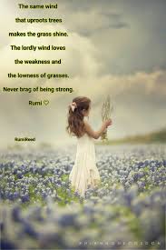 Pin By Rumi Reed On Rumi Quotes Rumi Poetry Rumi Quotes Rumi