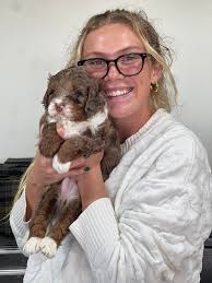 Dog sitting services available in NC