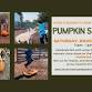 4th Annual Pumpkin Smash! event image