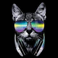 Cats Heat Press Transfers Pet Heat Transfers Art Brands Cat Art Print Cat Tshirt Cat In Heat