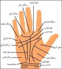 قراءه كف اليد 1 Book Qoutes Philosophy Books Magick Book