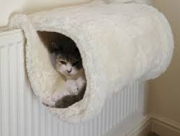 un hamac pour chat va donner grand confort a votre animal archzine fr hamac chat lit pour chat mobilier pour chat