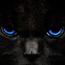 Ipad Hd Wallpapers Eyes Dark Wallpaper 4k 2048x2048 Download Hd Wallpaper Wallpapertip 2 hintergrundbilder stock video clips in 4k and hd for creative projects. ipad hd wallpapers eyes dark