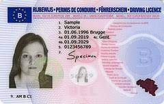 Do you need a drivers license? European Driving Licence Wikipedia