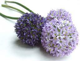 Allium Silk Flowers Artificial Flowers Silk Flowers Allium
