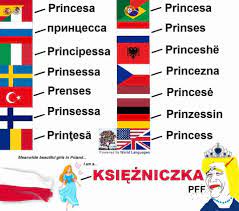 At memesmonkey.com find thousands of memes categorized into thousands of categories. Polish Word Meme Princess Chido Fajny