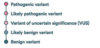 Variant Classification Genetic Variants Blueprint Genetics