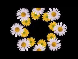 The best gifs are on giphy. The Goodmorning Gif Music Shorts Youtube