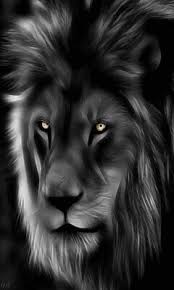 65 lion face wallpaper on wallpapersafari. Lion Face Wallpaper Download To Your Mobile From Phoneky