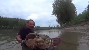 In a catfishing scam, a person on the internet will create a fake identity and try to romance or seduce their target. Urban Dictionary Catfish