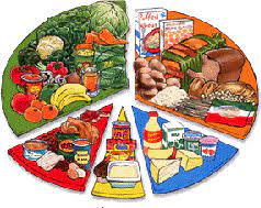 Mengapa jumlah makhkuk hidup semakin berkurang pada tingkat yang lebih tinggi pada sebuah piramida makanan? Apa Itu Air Alkali Dan Khasiatnya Blog Mbo