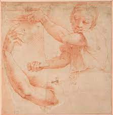 Teylers Museum Rafael Raphael Studies For An Angel And A Raised Right Arm Life Drawing Renaissance Artists Portrait Drawing