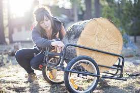 Now you can travel wherever the road takes you because you will always have your possessions nearby with the single wheel cargo bike trailer. Best Bike Cargo Trailer Of 2021 Gearlab